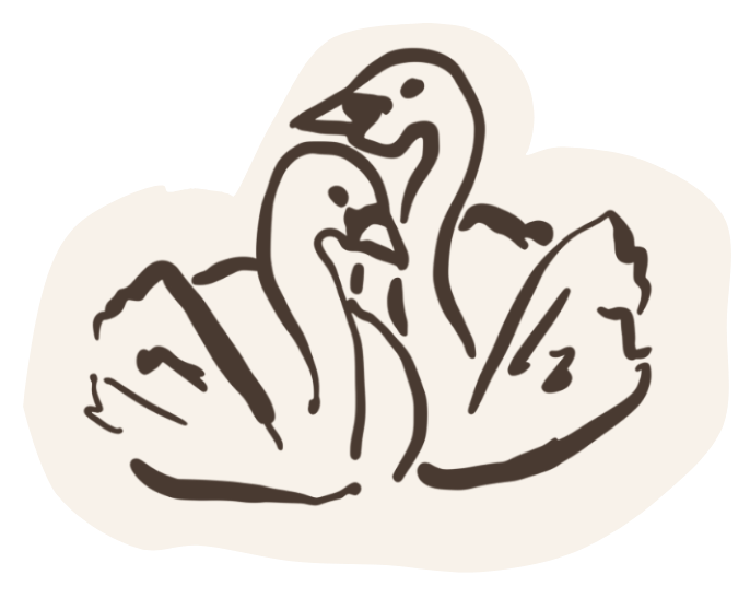 Swan