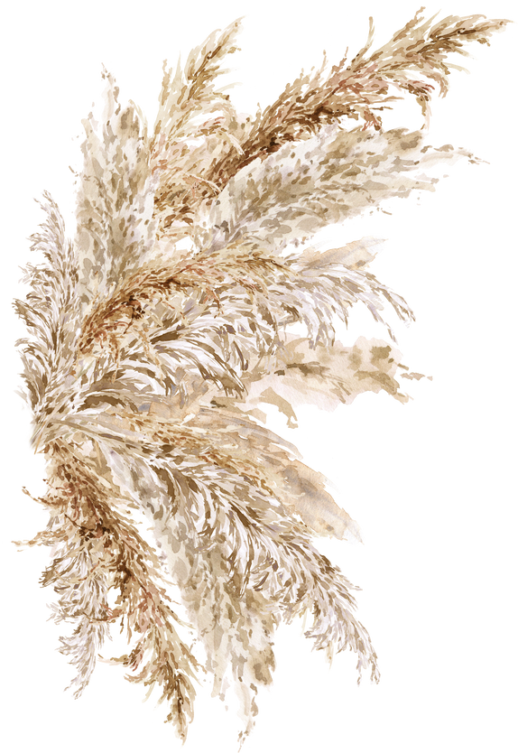 Watercolor Pampas Grass floral  neutral beige bouquet